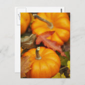 Ontwerp oktober briefkaart (Voorkant / Achterkant)