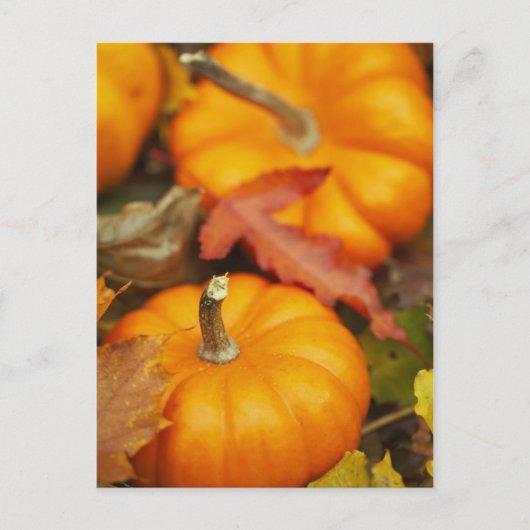 Ontwerp oktober briefkaart (Voorkant)