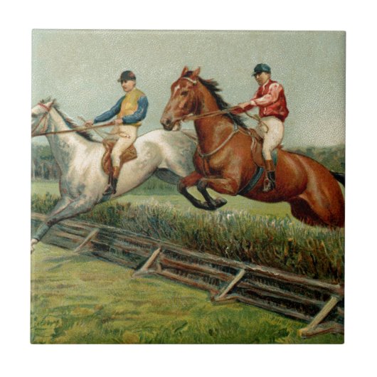 ontwerp paardenras tegeltje (Voorkant)