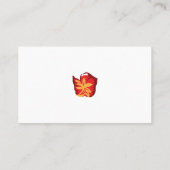 Ontwerp professionele visitekaartjes (Achterkant)