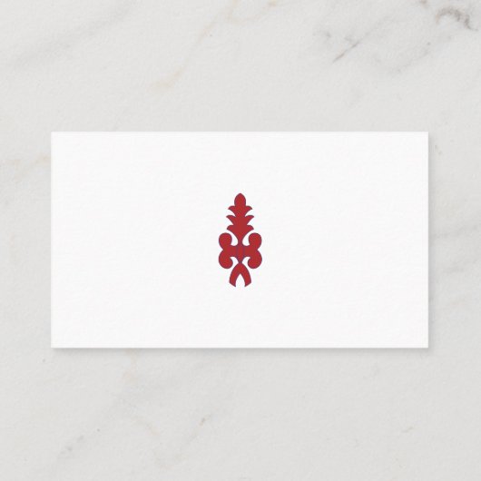 Ontwerp Professionele Visitekaartjes (Achterkant)