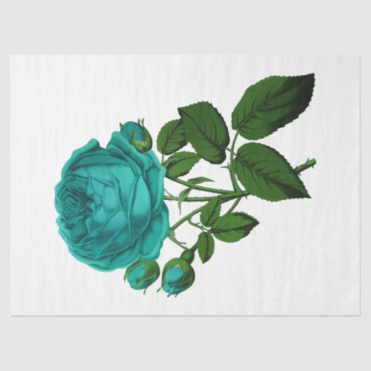 Ontwerp  Roos reeks 132 Tissuepapier (Voorkant)