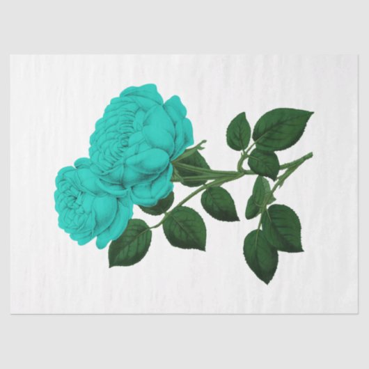 Ontwerp  Roos reeks 144 Tissuepapier (Voorkant)