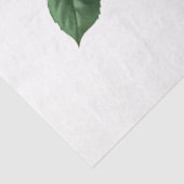 Ontwerp Roos reeks 23 Tissuepapier (Detail)