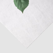 Ontwerp uit de  Roos-reeks 140 Tissuepapier (Detail)