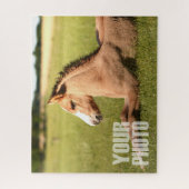 Ontwerp uw eigen 20x16-inch/520-artikelen aangepas legpuzzel (Verticaal)