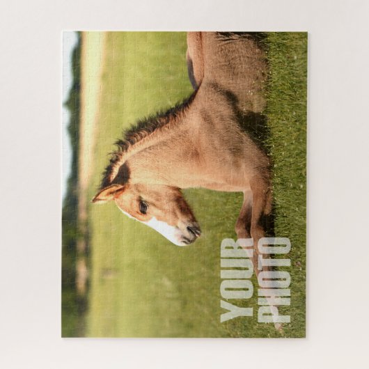 Ontwerp uw eigen 20x16-inch/520-artikelen aangepas legpuzzel (Verticaal)