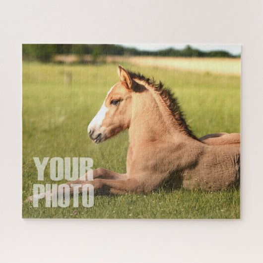 Ontwerp uw eigen 20x16-inch/520-artikelen aangepas legpuzzel (Horizontaal)