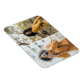 Ontwerp uw eigen 2 fotocollage magneet (Rechterzijde)