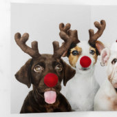 Ontwerp uw eigen drie foto's op maat drieluik wenskaart (Binnenzijde eerst)