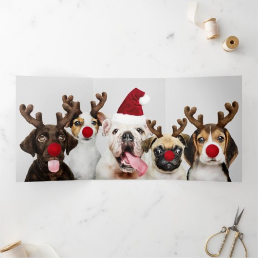 Ontwerp uw eigen drie foto's op maat drieluik wenskaart (Binnen)