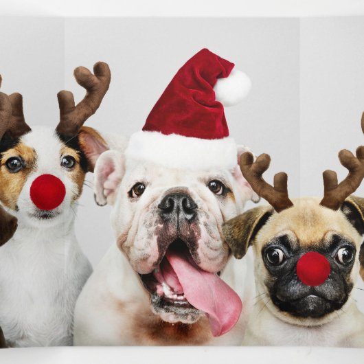 Ontwerp uw eigen drie foto's op maat drieluik wenskaart (Binnenkant midden)