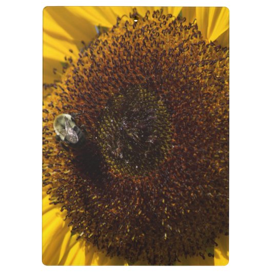 Ontwerp uw eigen klembord (Achterkant)