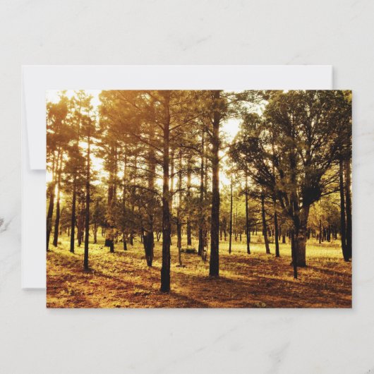 Ontwerp uw eigen land uitnodigingen leeg Sjabloon (Achterkant)