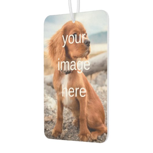 ONTWERP UW EIGEN LUCHTVERFRISSER (Links)