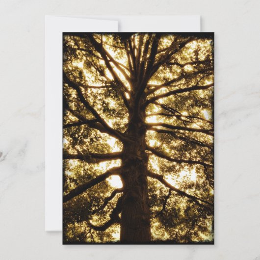 Ontwerp uw eigen overzicht van de Sjabloon van uit Kaart (Achterkant)