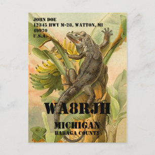 Ontwerp uw eigen QSL HAM Radio Operator op Frog Briefkaart