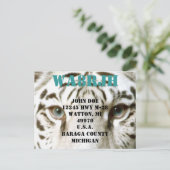 Ontwerp uw eigen QSL HAM Radio Ops Card Tiger Eyes Briefkaart (Staand voorkant)