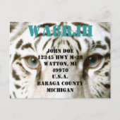 Ontwerp uw eigen QSL HAM Radio Ops Card Tiger Eyes Briefkaart (Voorkant)