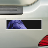 Ontwerp van blauwe paarden bumpersticker (Op auto)