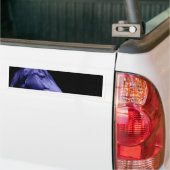 Ontwerp van blauwe paarden bumpersticker (Op Truck)
