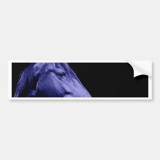 Ontwerp van blauwe paarden bumpersticker (Voorkant)