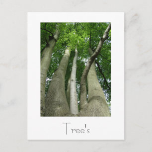 Ontwerp van Briefkaart met bomen