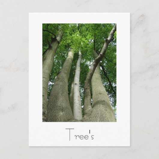 Ontwerp van Briefkaart met bomen (Voorkant)