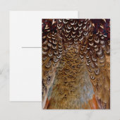 Ontwerp van bruine fazant briefkaart (Voorkant / Achterkant)