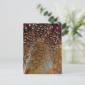 Ontwerp van bruine fazant briefkaart (Staand voorkant)