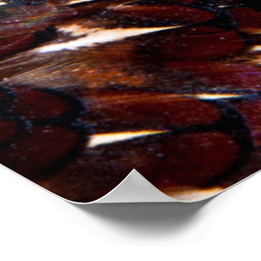 Ontwerp van bruine fazant poster (Hoek)