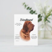 Ontwerp van de bloedige geschiedenis briefkaart (Staand voorkant)
