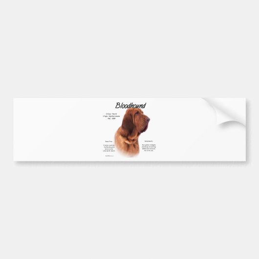 Ontwerp van de bloedige geschiedenis bumpersticker (Voorkant)