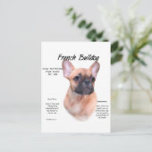 Ontwerp van de Bulldog-geschiedenis Briefkaart (Staand voorkant)