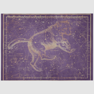 Ontwerp van de Gold Star Map 7 Tissuepapier