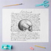 Ontwerp van de gothische debutante reeks 5 tissuepapier (Craft)