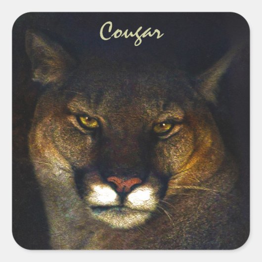 Ontwerp van de grote kat Cougar Mountain Lion Vierkante Sticker (Voorkant)