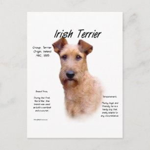 Ontwerp van de Ierse geschiedenis van de Terrier Briefkaart