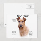Ontwerp van de Ierse geschiedenis van de Terrier Briefkaart (Voorkant / Achterkant)