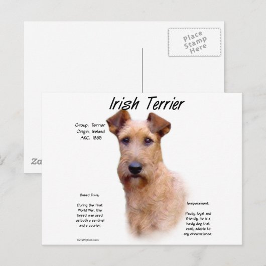 Ontwerp van de Ierse geschiedenis van de Terrier Briefkaart (Voorkant / Achterkant)
