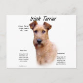 Ontwerp van de Ierse geschiedenis van de Terrier Briefkaart (Voorkant)