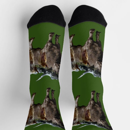 Ontwerp van de Koe van het Hoogland,  Sokken van d (Top)