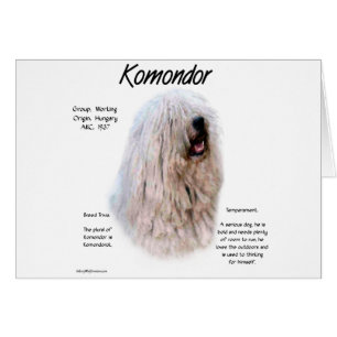 Ontwerp van de Komondor-geschiedenis