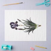 Ontwerp van de koninginnenbijenreeks 62 tissuepapier (Craft)