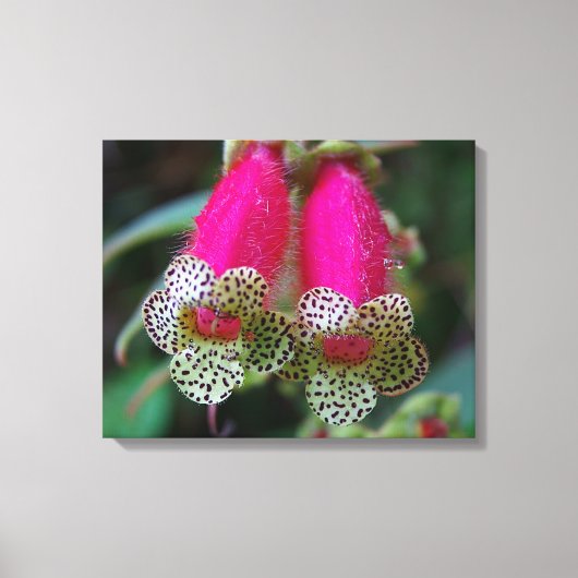 Ontwerp van de luipaard canvas afdruk (Voorkant)