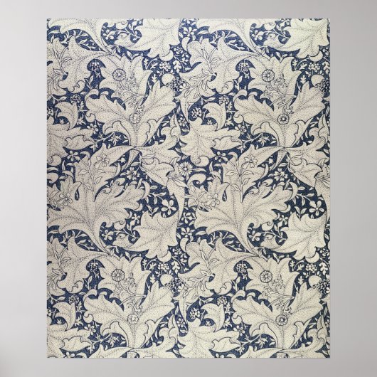 ontwerp van de muurbloem poster (Voorkant)