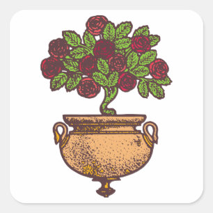 ontwerp van de nieuwe roos vierkante sticker