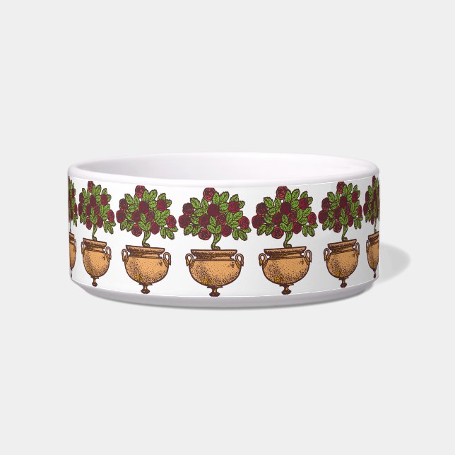  ontwerp van de nieuwe roos voerbakje (Rechts)