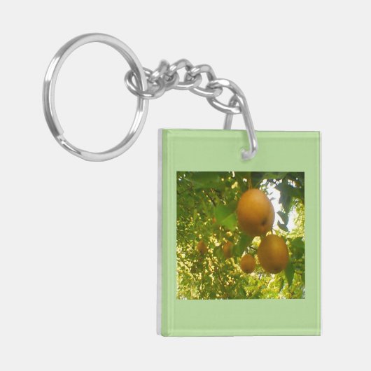 Ontwerp van de peer-structuur sleutelhanger (Voorkant Links)