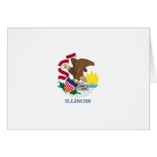 Ontwerp van de vlag van Illinois